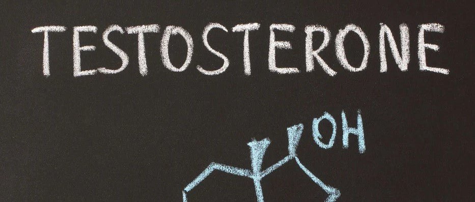 5 Ways Testosterone Enhances Health & Well-Being - Apollon Nutrition