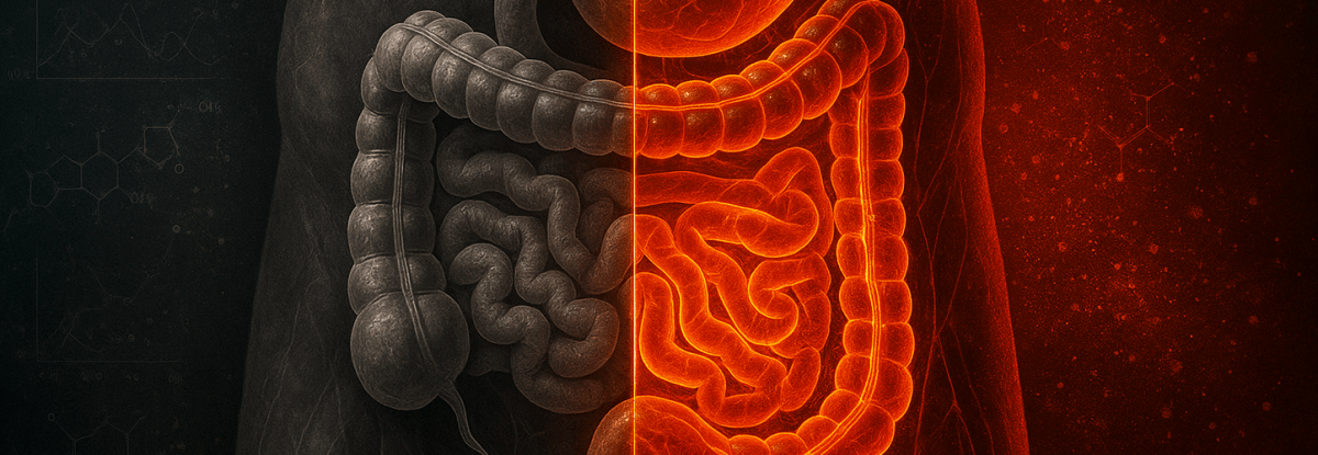 Digestion & Gut Health - Apollon Nutrition
