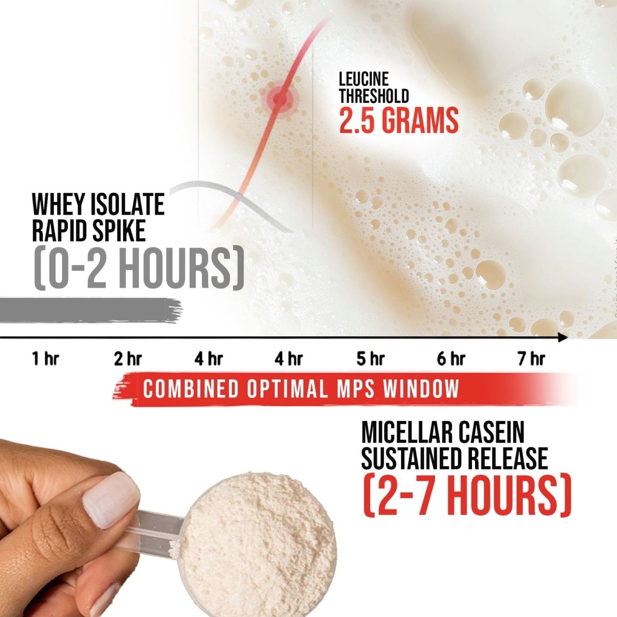 50/50 Formula X Protein Blend 2 lbs - Apollon Nutrition--