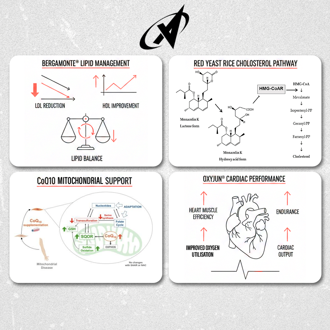 Full of Heart - Premium Cardiovascular Support - Apollon Nutrition--