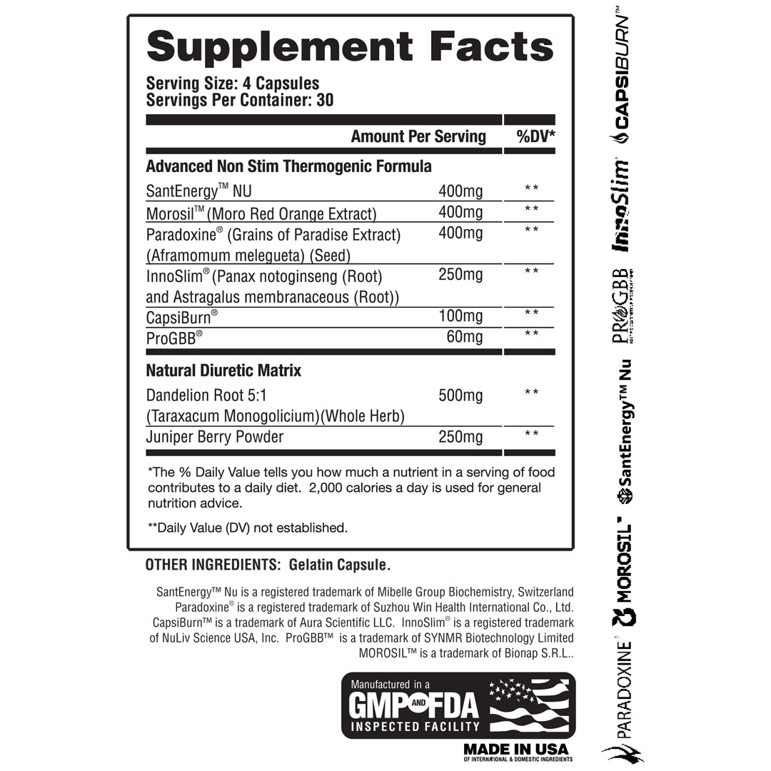 Molotov - Non - stim Thermogenic - Apollon Nutrition - 850042072530 -