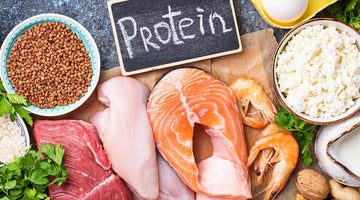 Are High Protein Diets Harmful to Kidneys?
