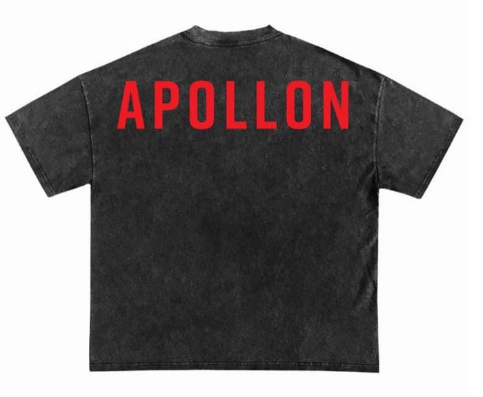Apollon oversized T-shirt with chest and back print